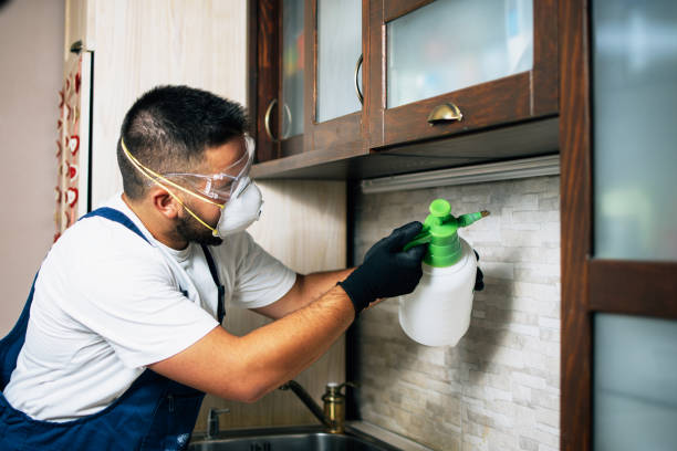 Best Emergency Pest Control  in Washington, IL