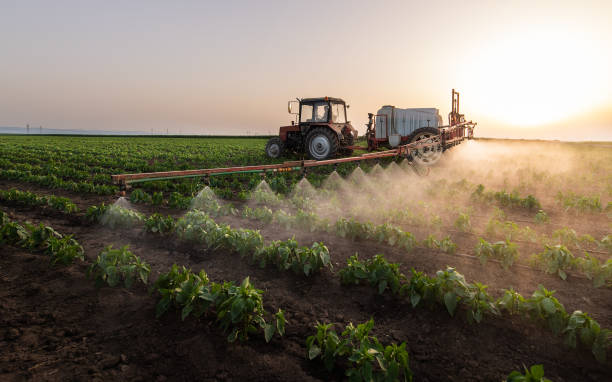 Best Mosquito Control Services  in Washington, IL