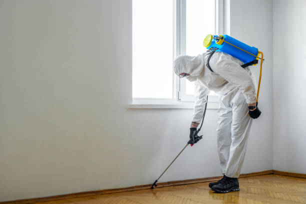 Best Pest Control for Homes  in Washington, IL