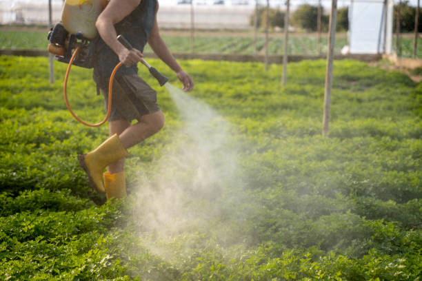 Best Best Pest Control Companies  in Washington, IL
