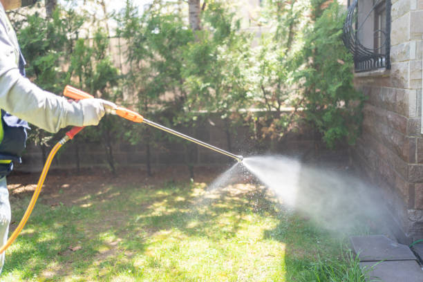 Pest Control Cost in Washington, IL