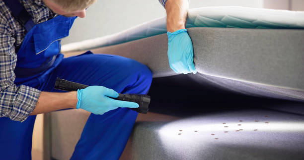 Best Insect Control  in Washington, IL