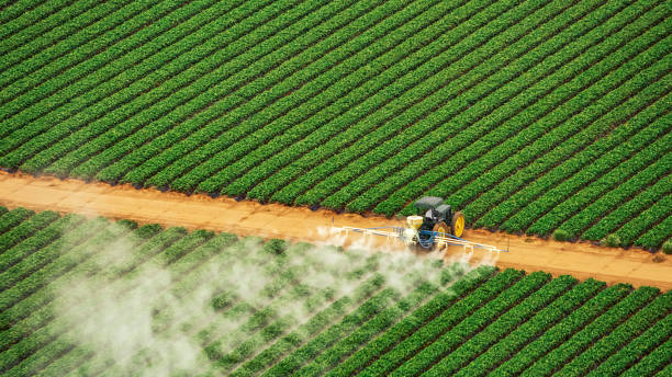 Best Pest Removal Services  in Washington, IL